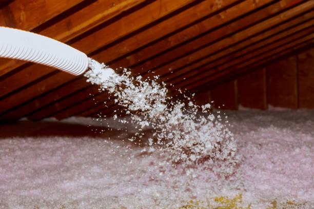 Best Eco-Friendly Insulation in Glen Alpine, NC